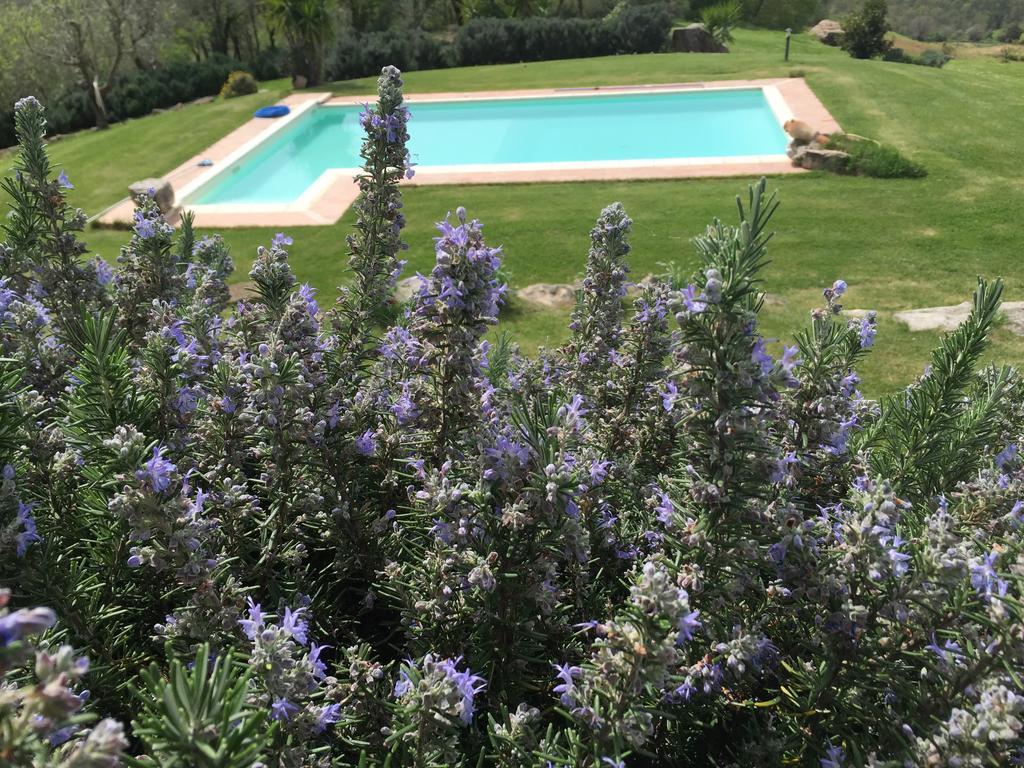 Agriturismo Podere S. Croce ซาตูร์เนีย ภายนอก รูปภาพ